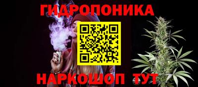 крисы Жуковский