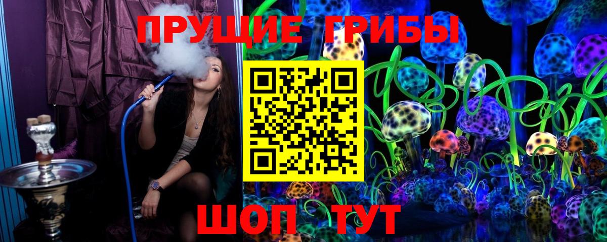 Галлюциногенные грибы MAGIC MUSHROOMS  купить   Дальнереченск  Вход с VPN 